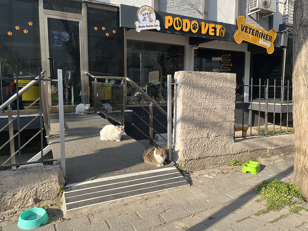 KLİNİĞİMİZDEN KARELER